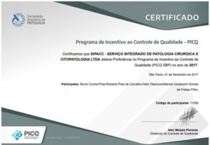 Programa de Incentivo ao Controle de Qualidade – PICQ certifica Cedapi